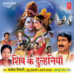 Cover of Shiv Ke Dulhaniya