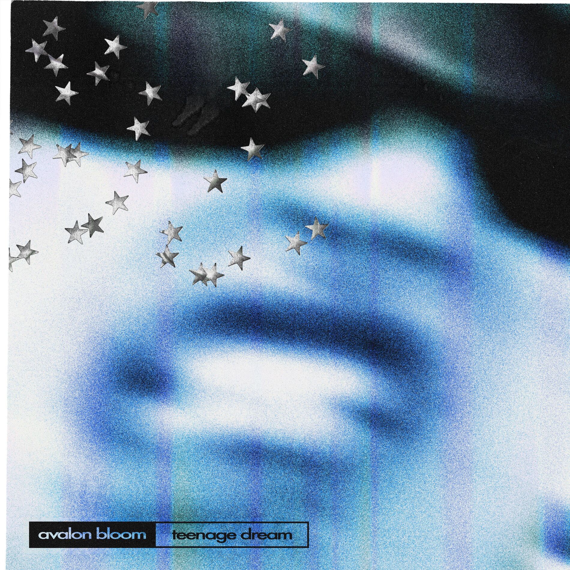 Album cover of Teenage Dream