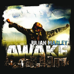 Cover of Awake