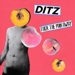 Cover of Fuck the Pain Away