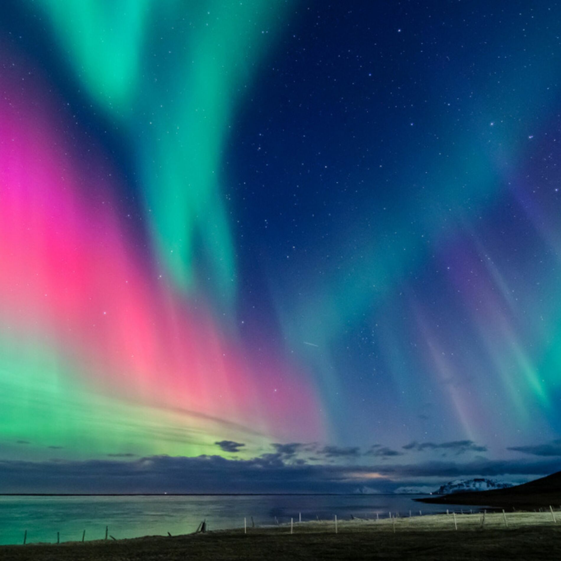Album cover of Aurora