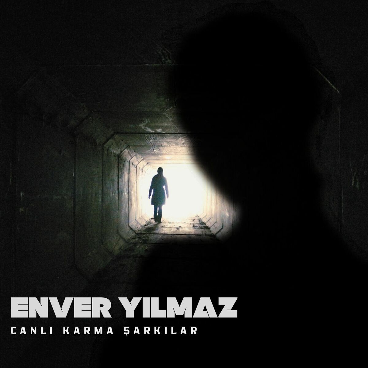 Album cover of Karma Canlı, Vol. II