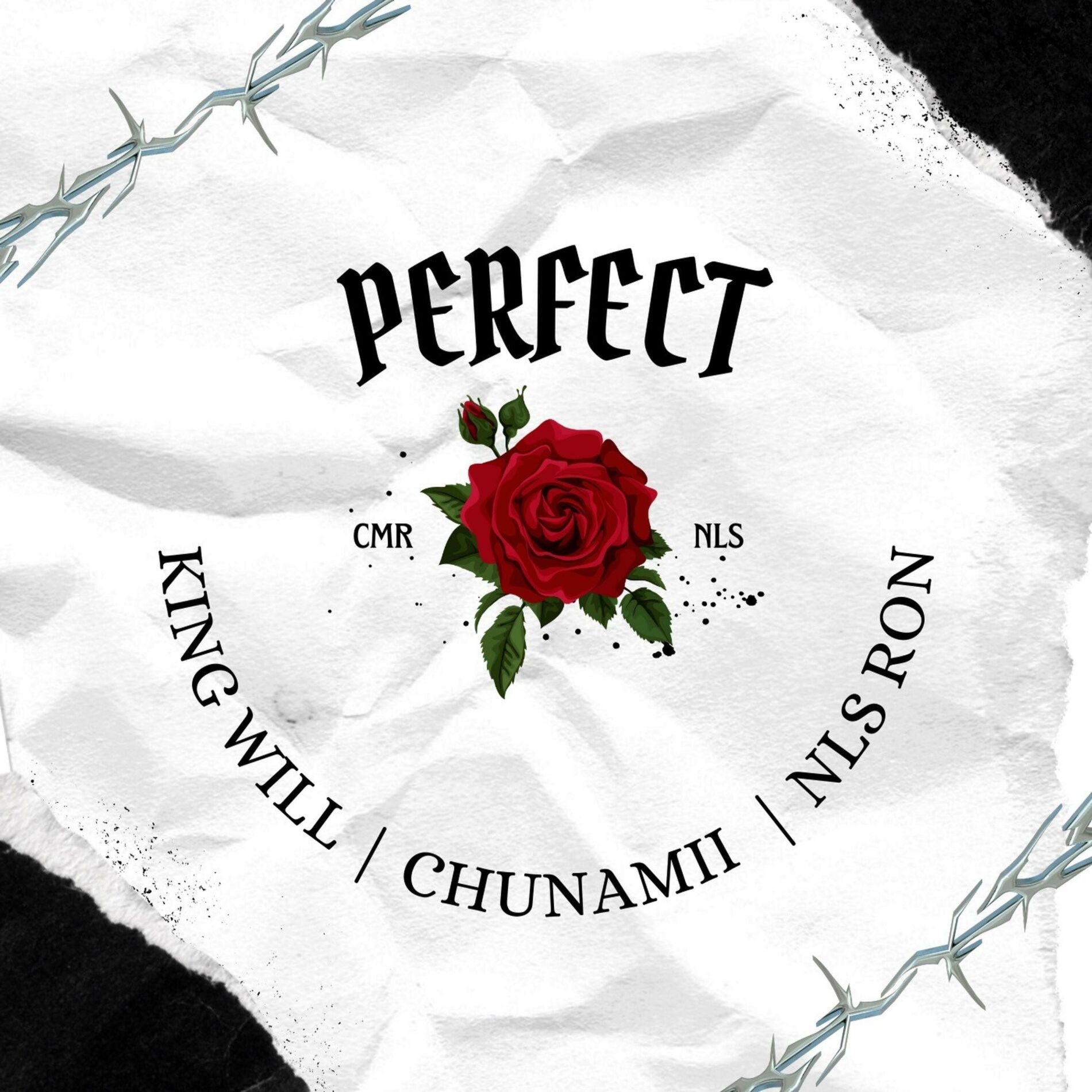 Album cover of Perfect (feat. King Will & NLS Ron)