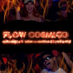 Cover of Flow cósmico