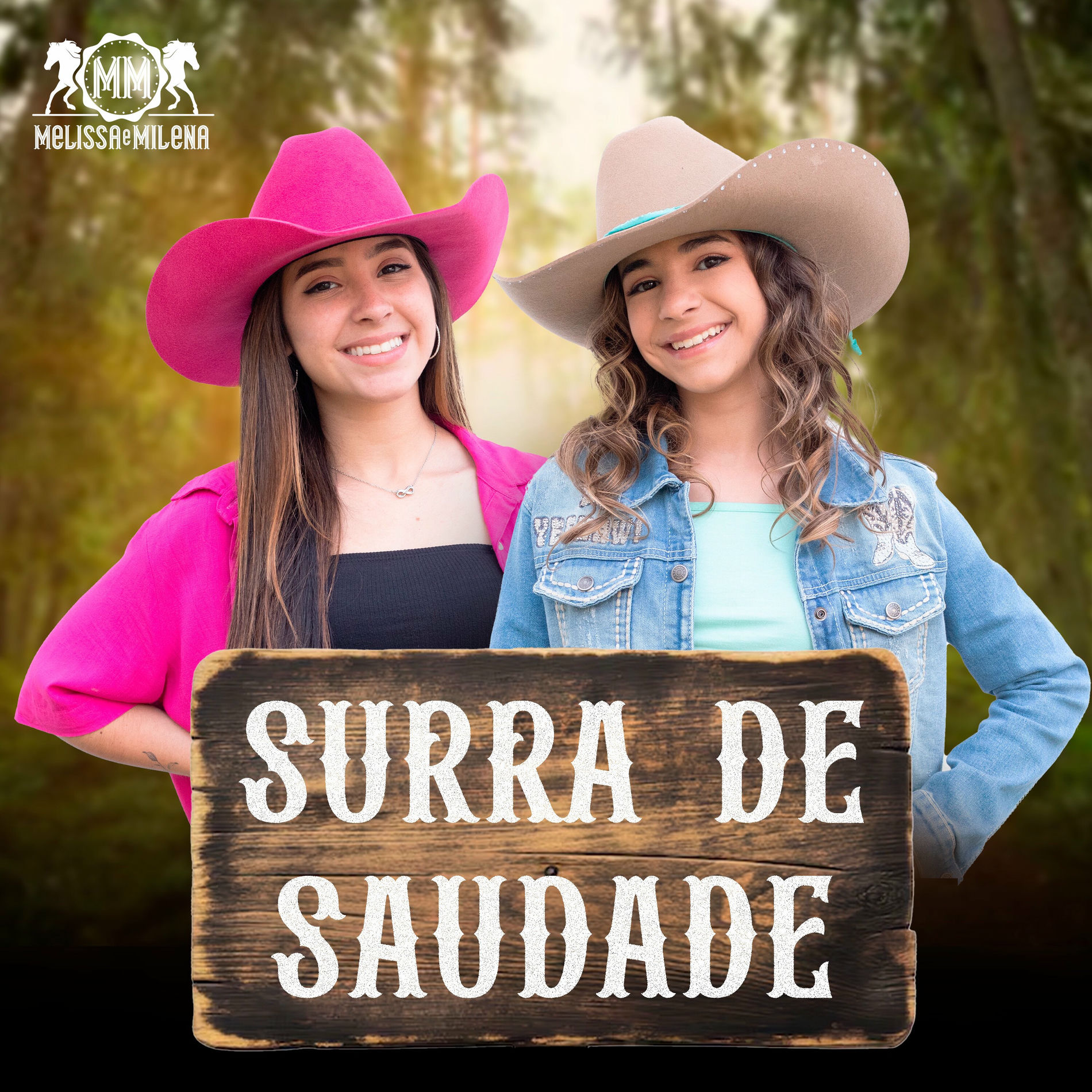 Album cover of Surra de Saudade