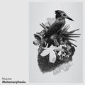 Metamorphosis
