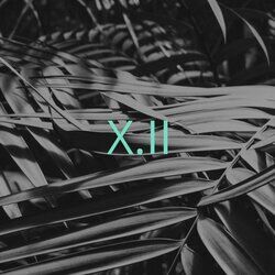 Cover of Remixed Details Part.2