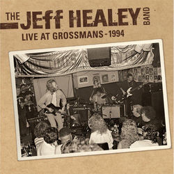 Cover Voodoo Child (Slight Return) - The Jeff Healey Band