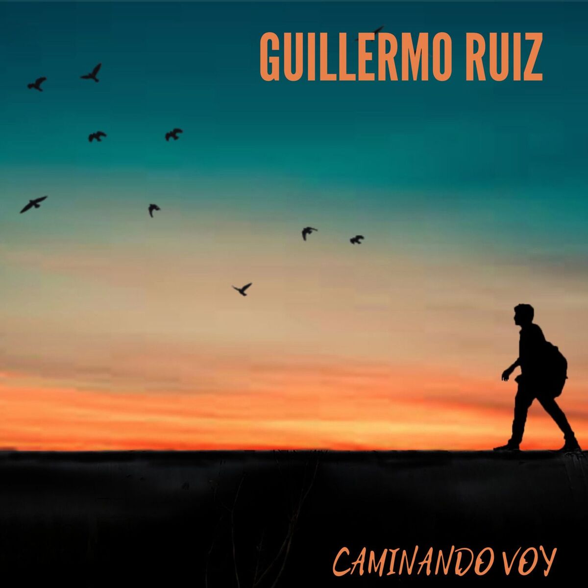 Album cover of Caminando Voy
