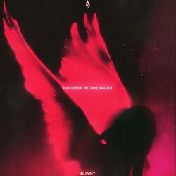 Cover of Phoenix In The Night