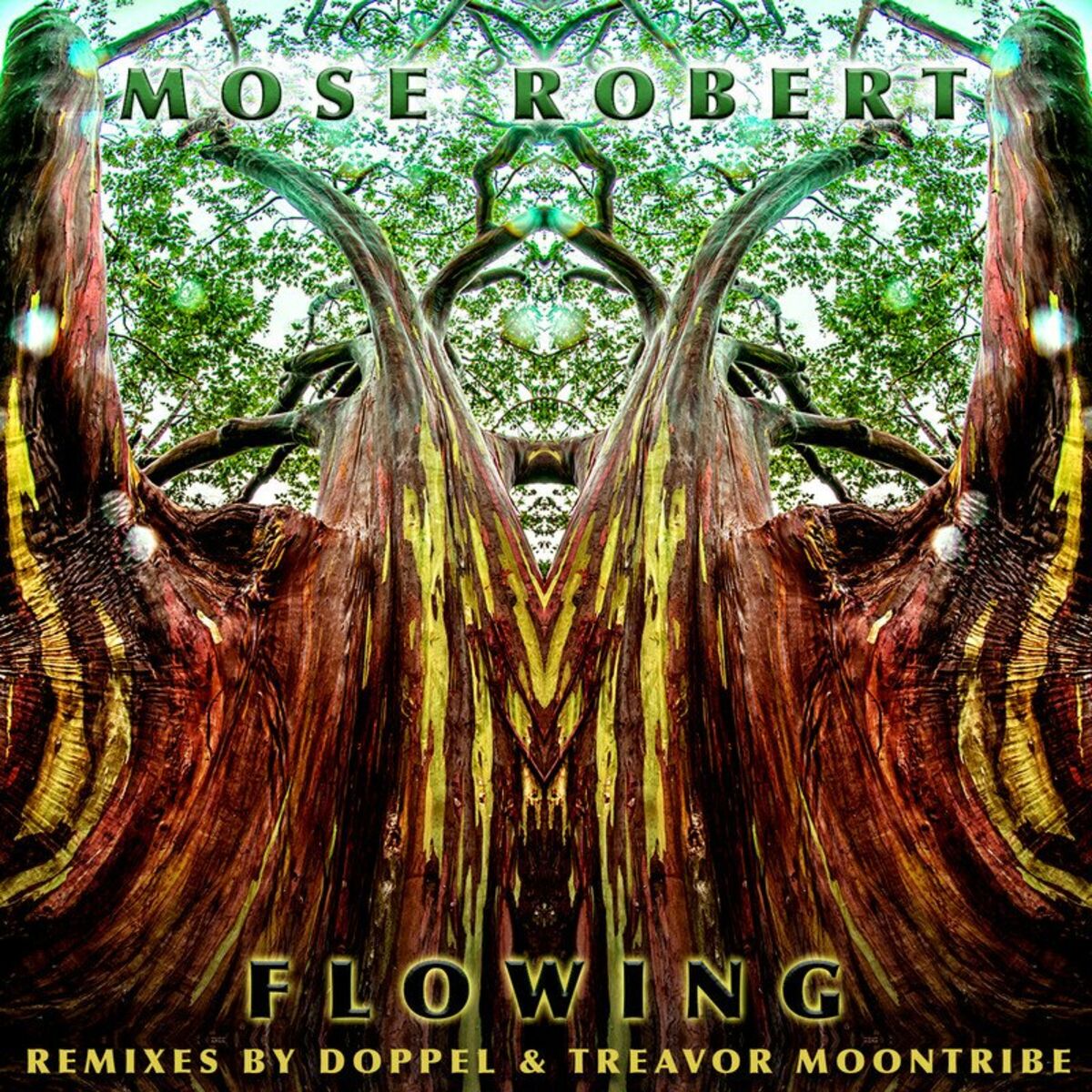 Album cover of Flowing