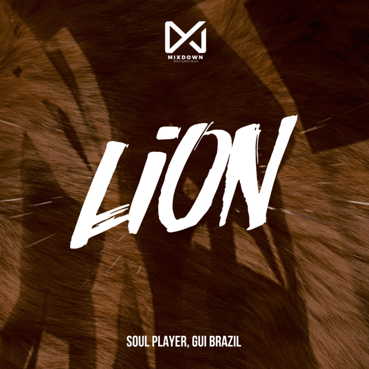 Album cover of Lion