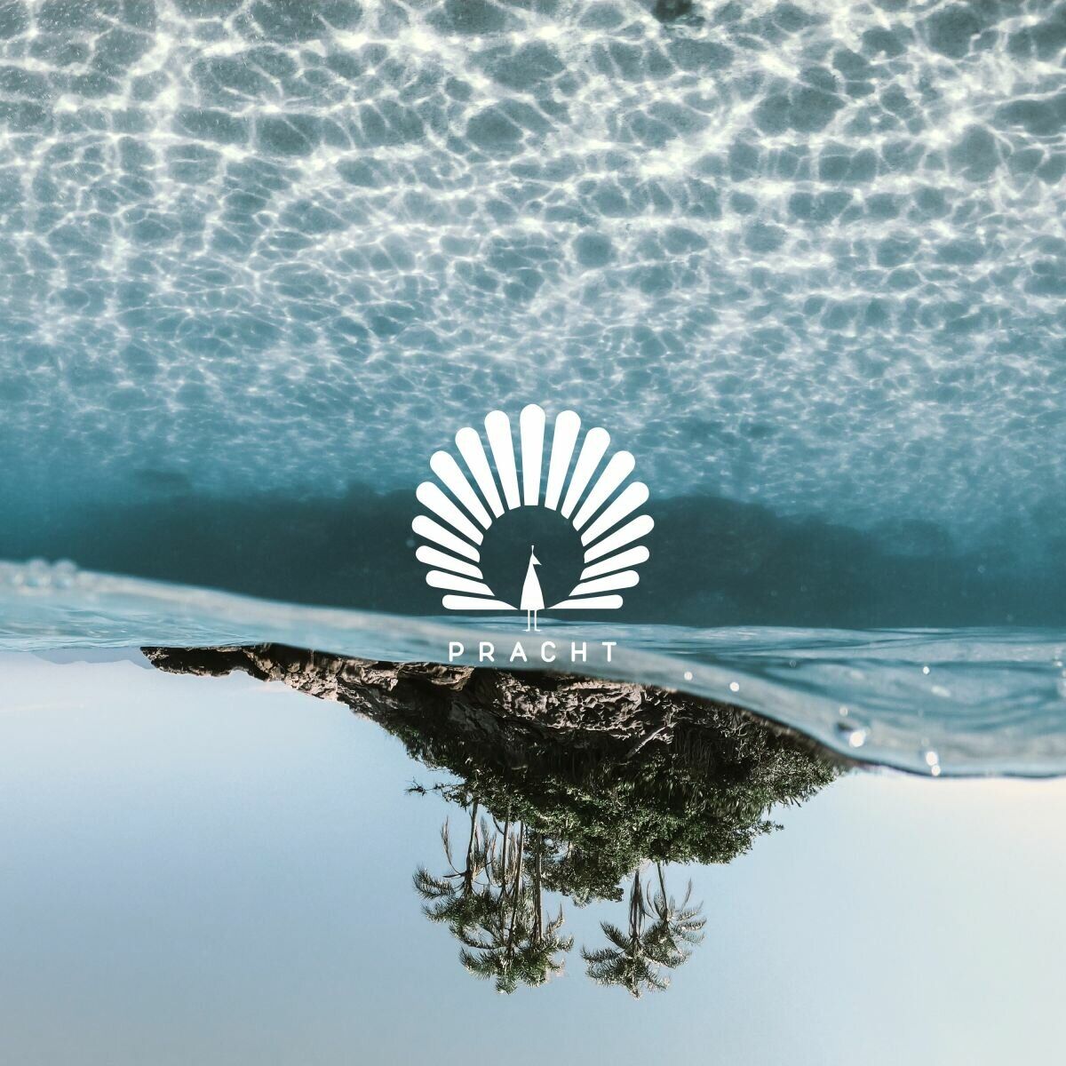 Album cover of Serenity