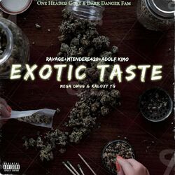 Cover of Exotic taste