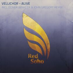 Cover of Alive Remixed