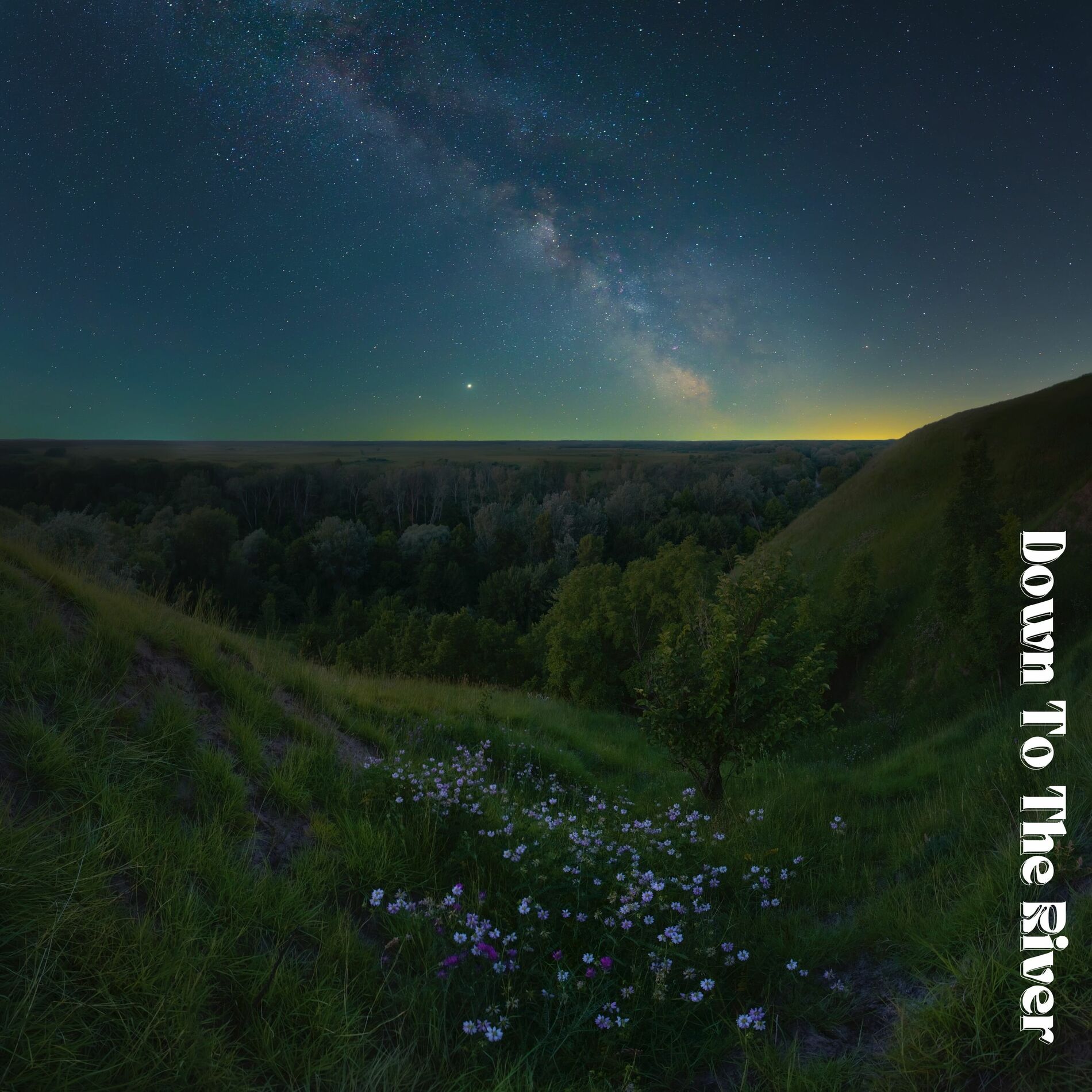 Album cover of Down To The River