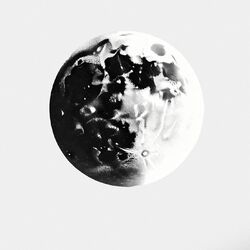 Cover of Echoes of Becoming