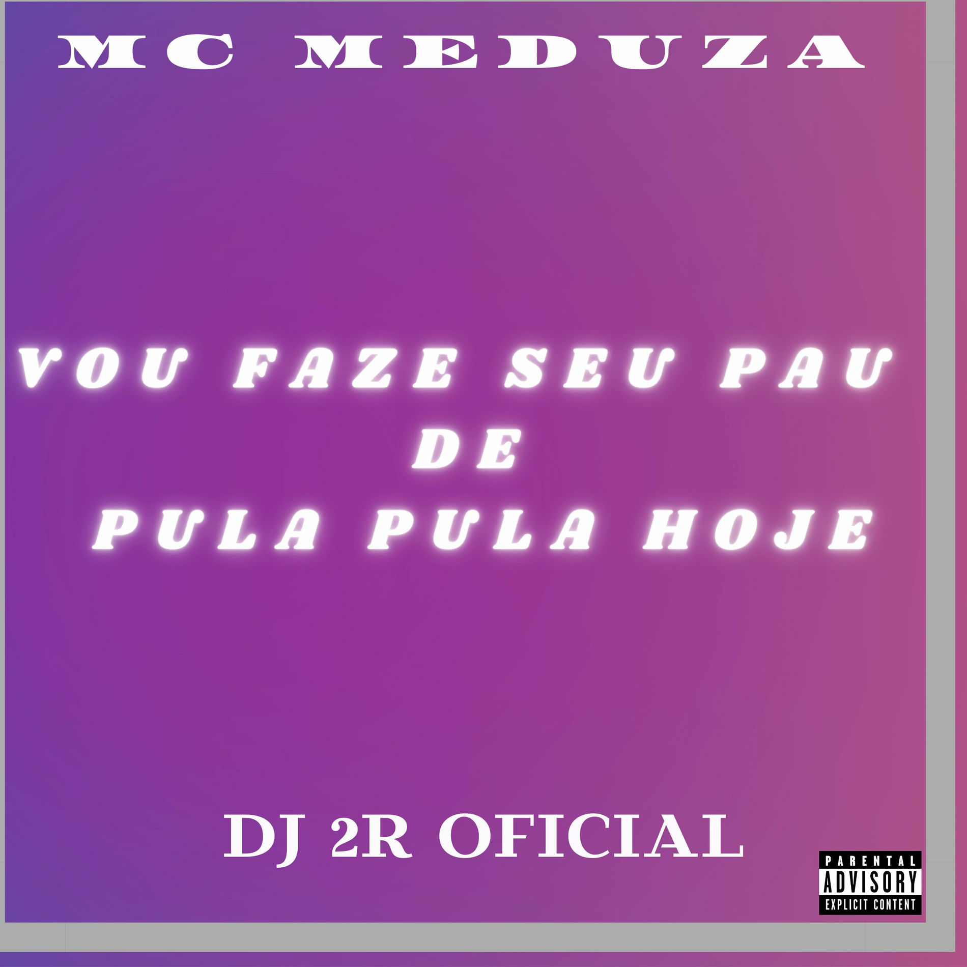 Album cover of Vou Faze Seu Pau de Pula Pula Hoje