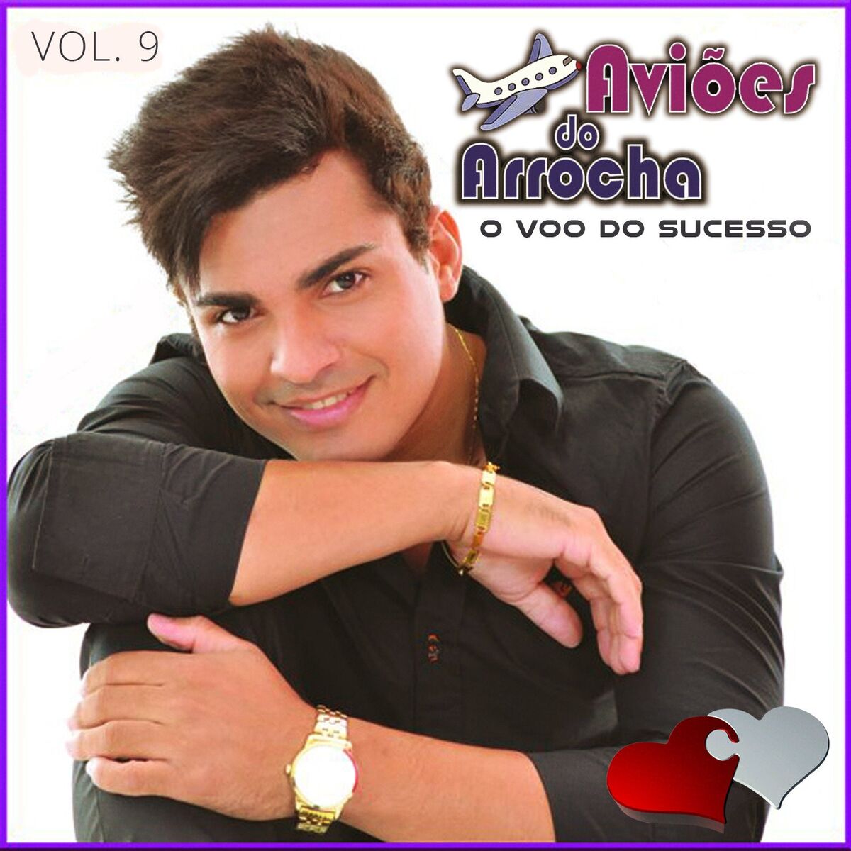 Album cover of O Voo Do Sucesso, Vol. 9