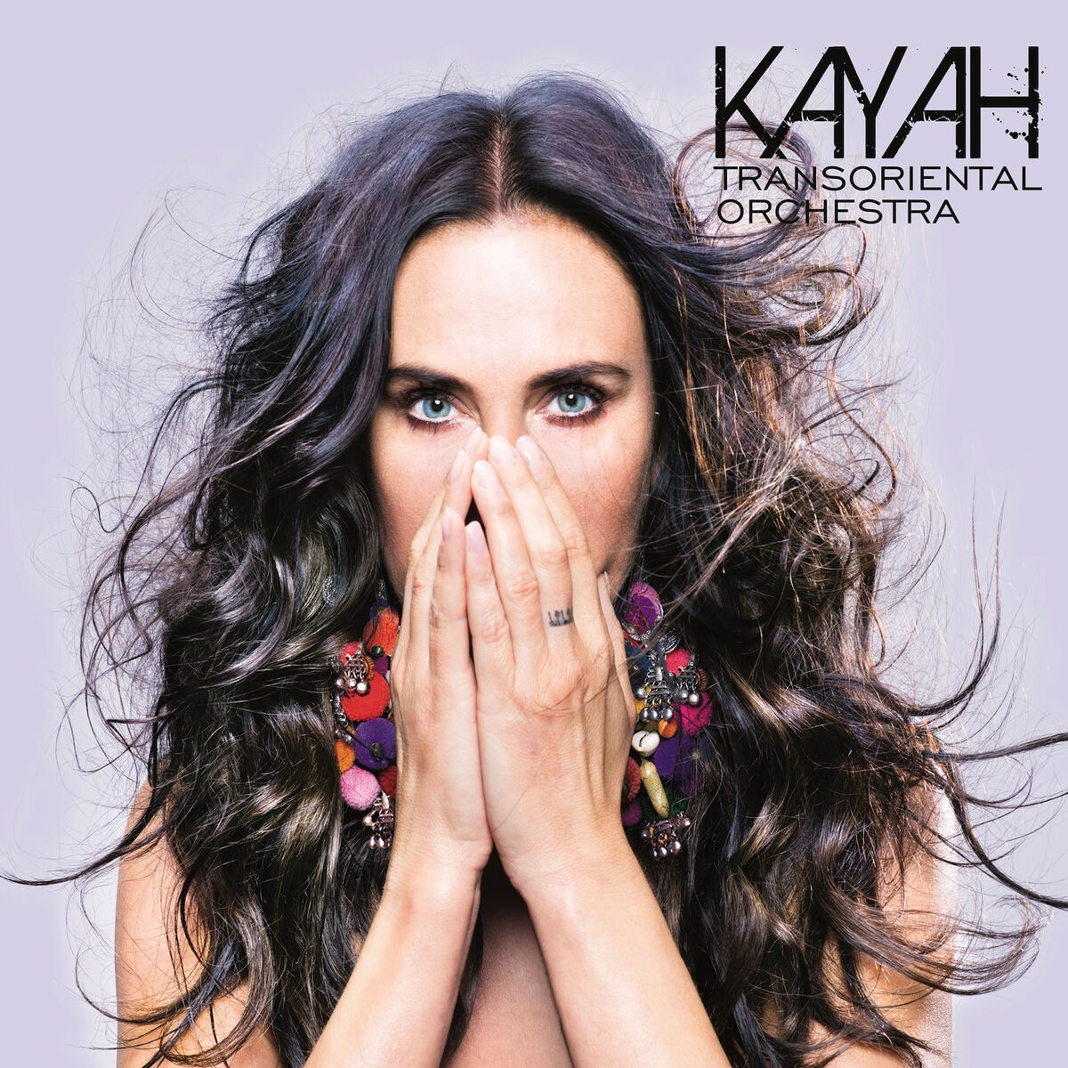 Album cover of Transoriental Orchestra