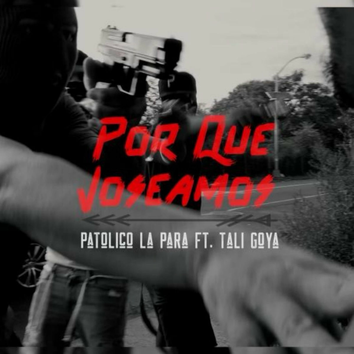 Album cover of Por Que Joseamos
