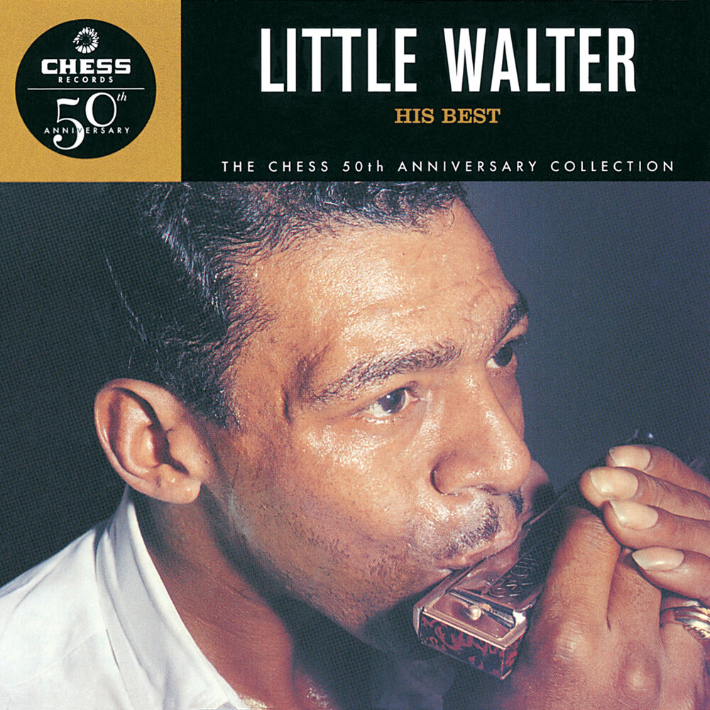 Picture of His Best - The Chess 50th Anniversary Collection