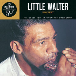Cover of His Best - The Chess 50th Anniversary Collection