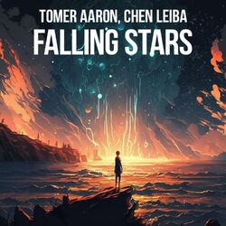 Cover of Falling Stars