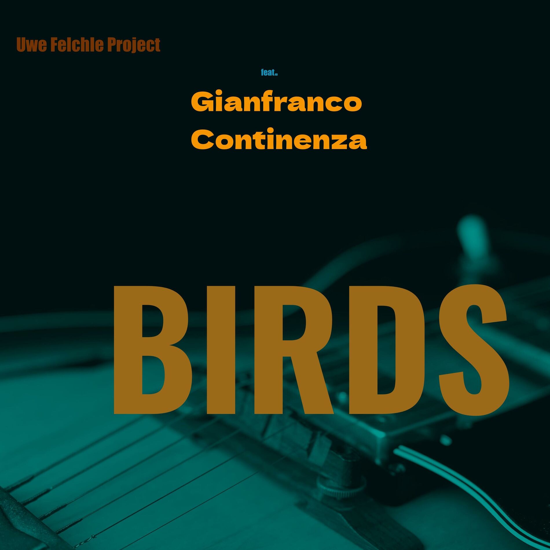 Album cover of Birds (feat. Gianfranco Continenza)