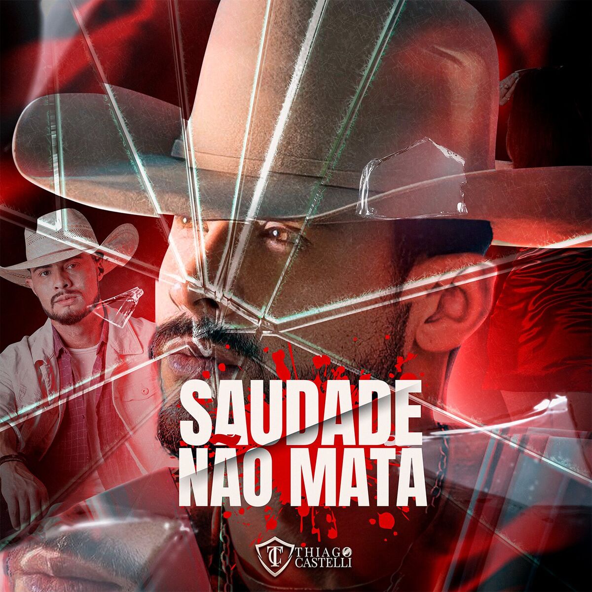 Album cover of Saudade Não Mata