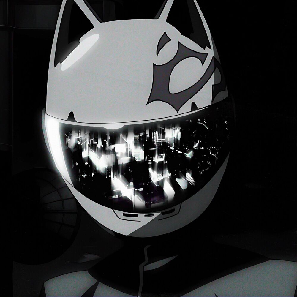 Picture of NIGHT RIDER 2