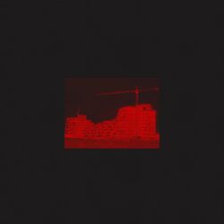 Cover of Cranes at Night