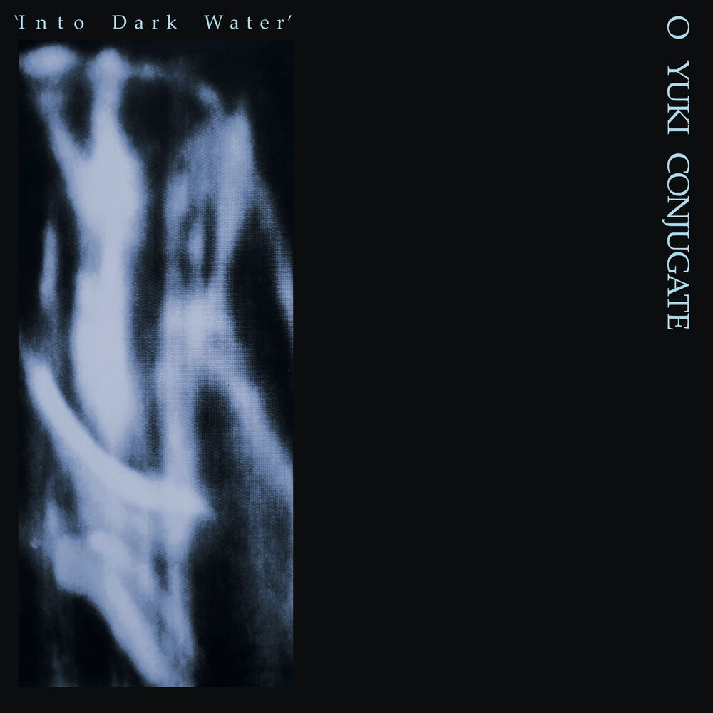 Picture of Into Dark Water