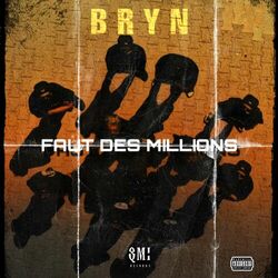 Cover of FAUT DES MILLIONS