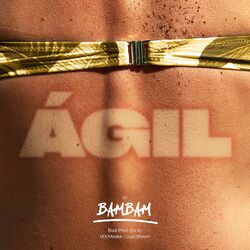 Cover of Ágil