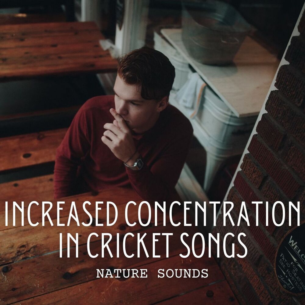 Picture of Nature Sounds: Increased Concentration in Cricket Songs