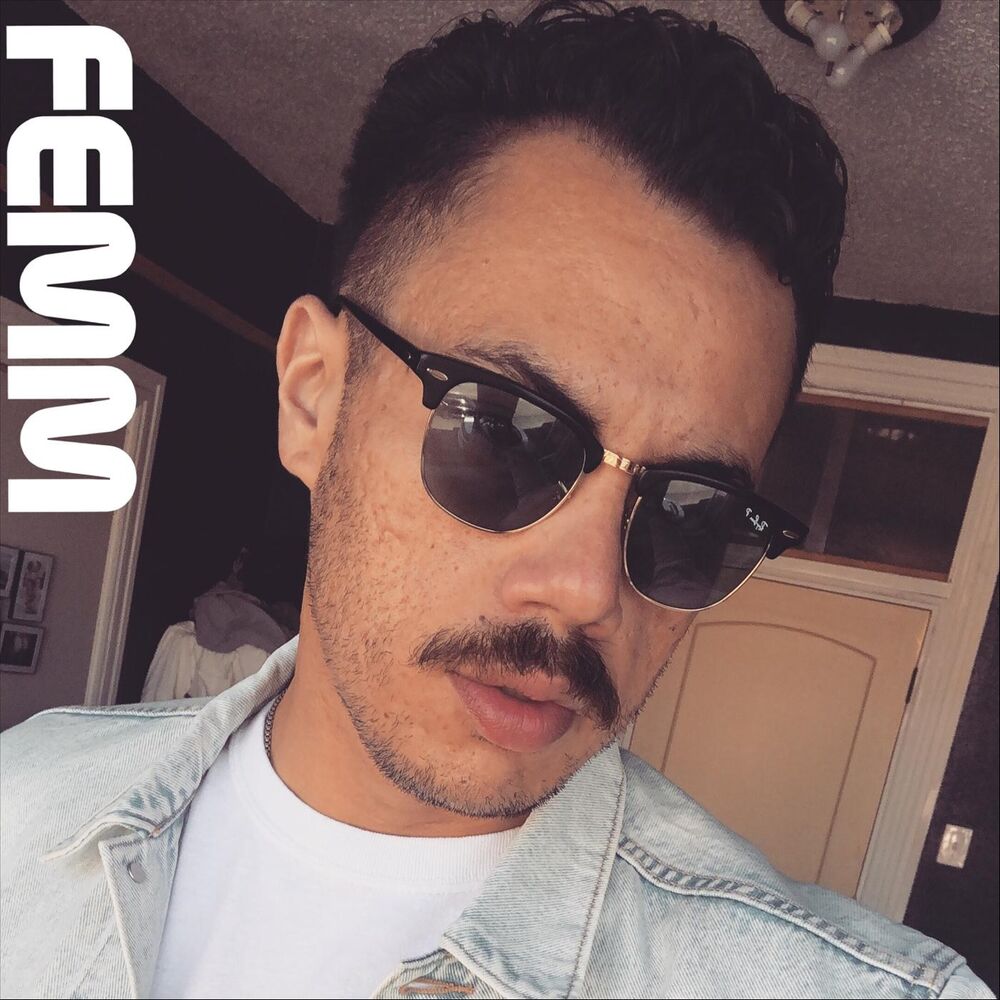 Picture of Femm
