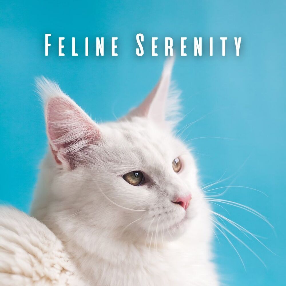 Picture of Feline Serenity: Binaural Ocean Waves for Cats