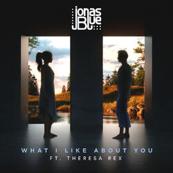 Cover of What I Like About You