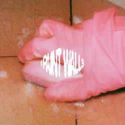 Pochette album