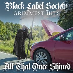 Cover of All That Once Shined
