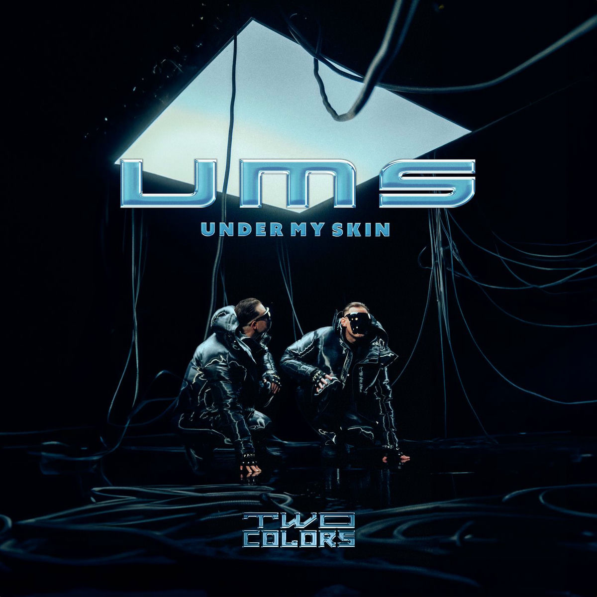 Album cover of UMS