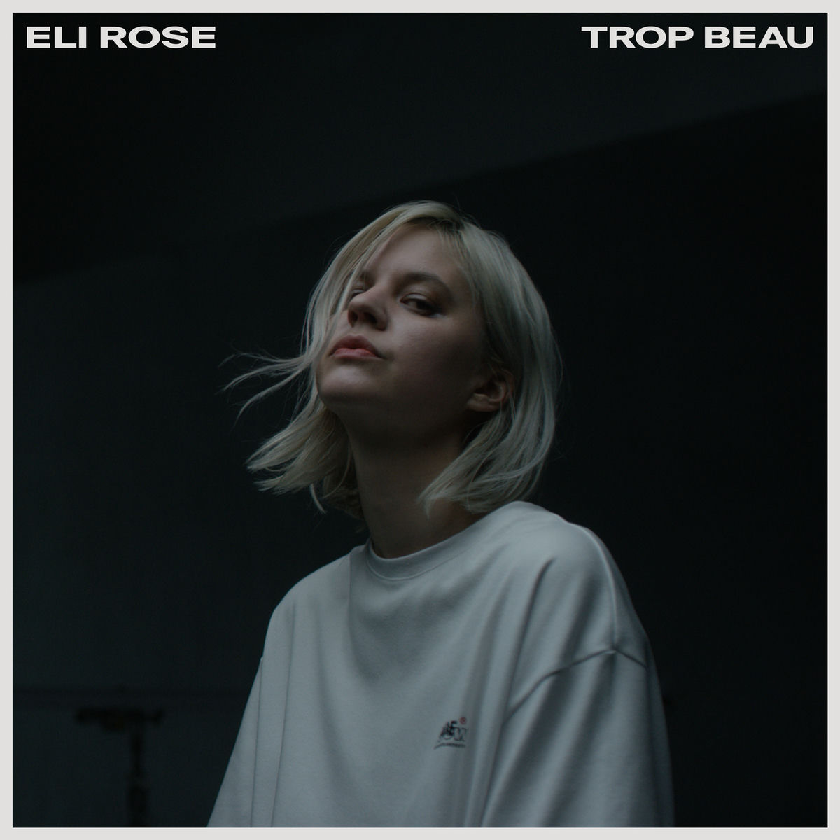 Album cover of Trop Beau