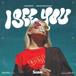 Cover of I See You