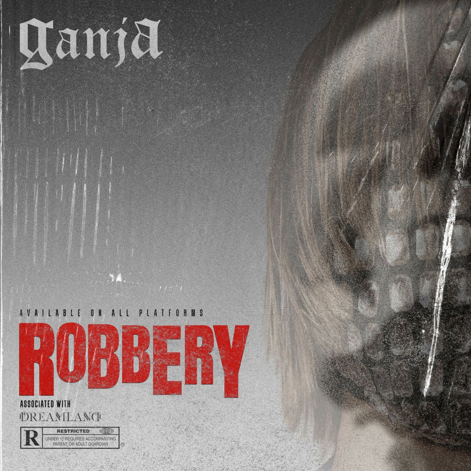 Album cover of ROBBERY