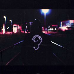 Cover of Night Walk