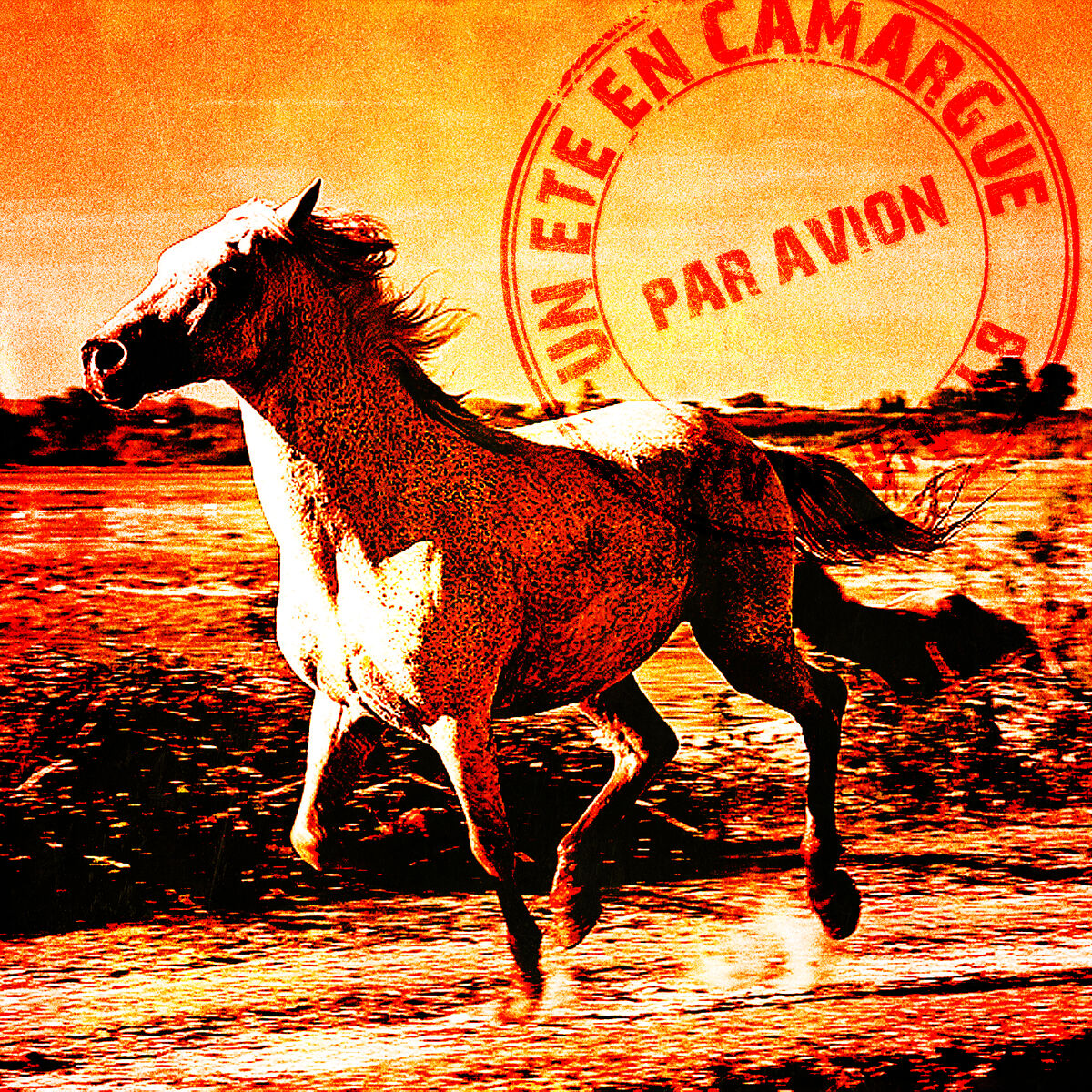 Album cover of Un été en Camargue