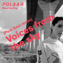 Cover of Voices from the Sky (Paul Seul Remix)