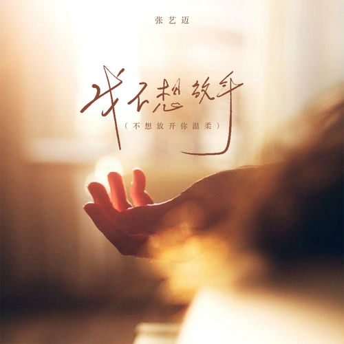我不想放手 (不想放开你温柔)