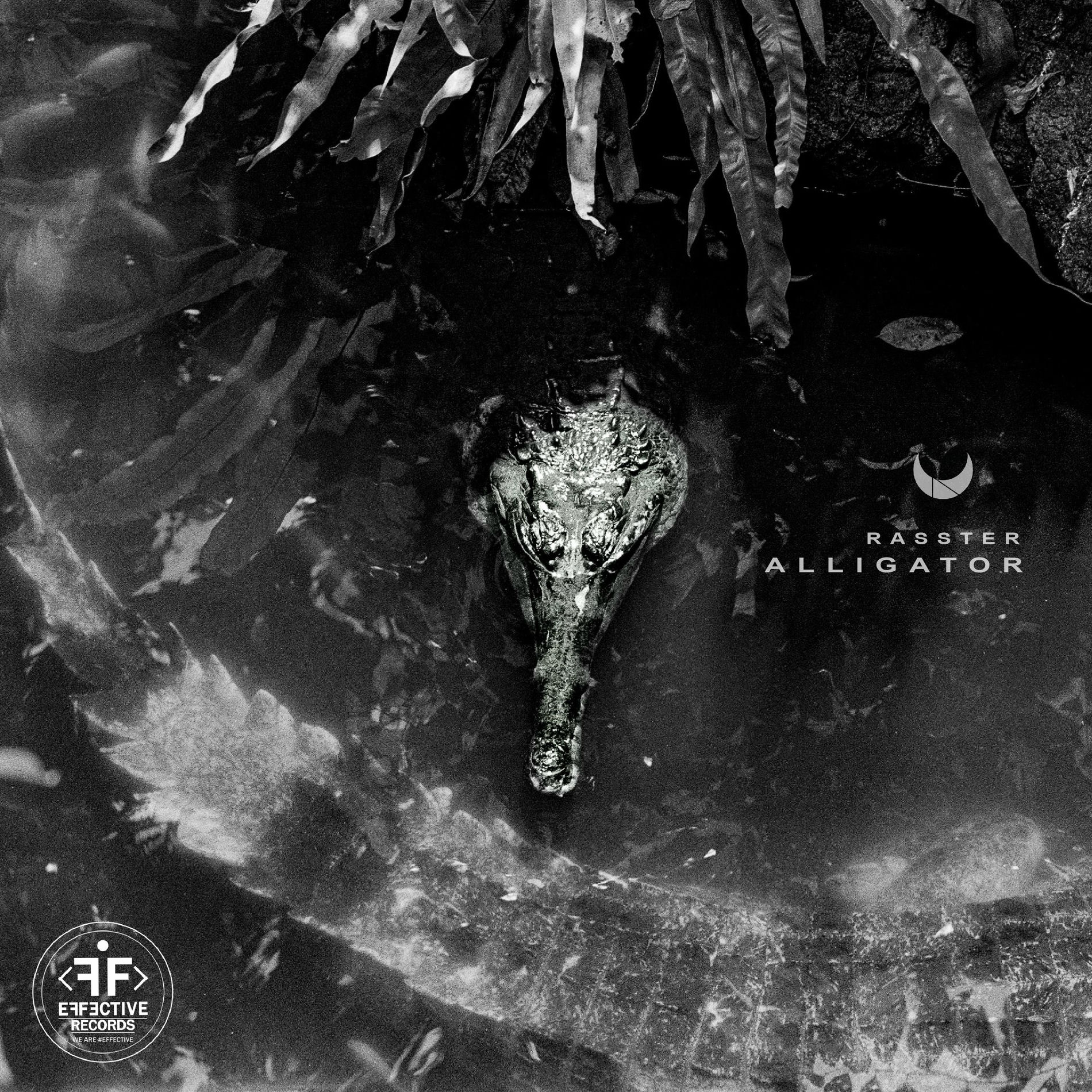 Album cover of Alligator